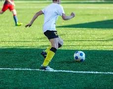 老鹰主场挑,战开拓者,专家推荐质,新葡京,新葡京app,新葡京娱乐,新普京赌场