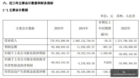 维拉诺瓦强力进攻解析，米内罗美洲防守策略